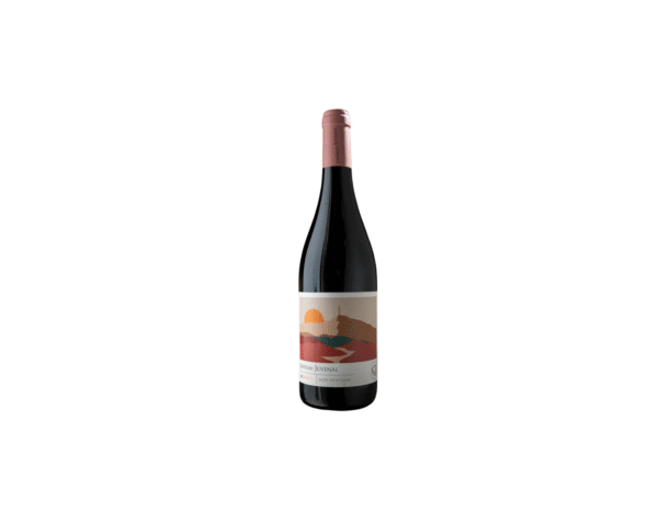 Ribes du Vallat Rouge, Chateau Juvenal Provence, AOC Ventoux Bio 0,75L 14,5%