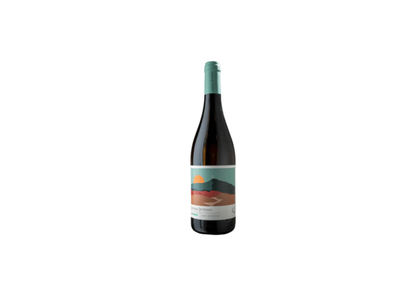 RIBES du Vallat Blanc, Chateau Juvenal Provence, AOP Ventoux Bio 0,75L 14,0%
