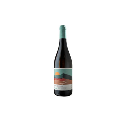 Ribes-White-_-Vinsomnia.png RIBES du Vallat Blanc, Chateau Juvenal Provence, AOP Ventoux Bio 0,75L 14,0%